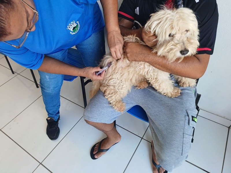 SECRETARIA DE SAÚDE REALIZA VACINAÇÃO ANTIRRÁBICA COM ATENDIMENTO A 75 ANIMAIS