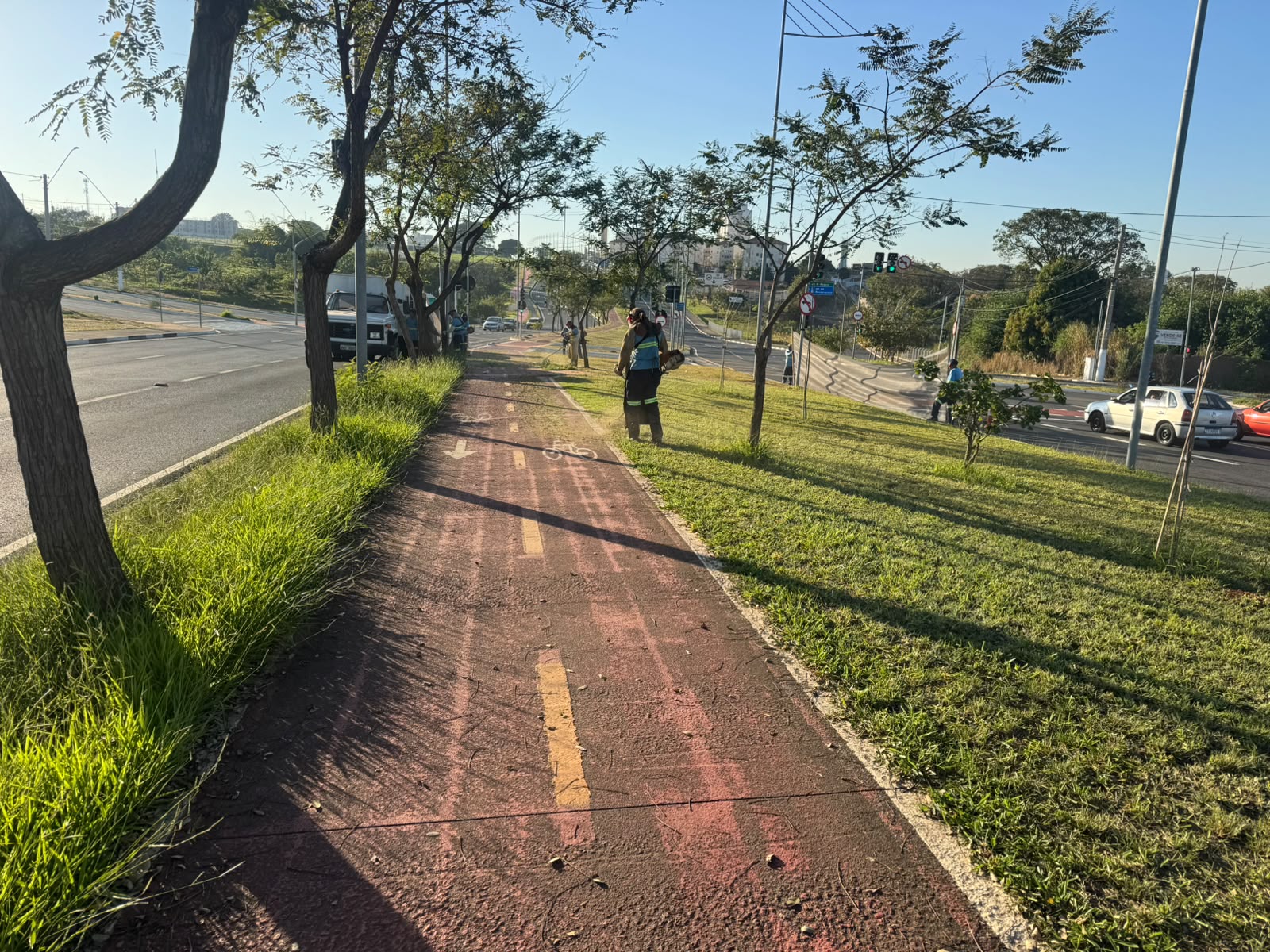 Trechos entre o Corredor Metropolitano e a Av. Olívio Franceschini recebem mutirão de poda do mato e limpeza 