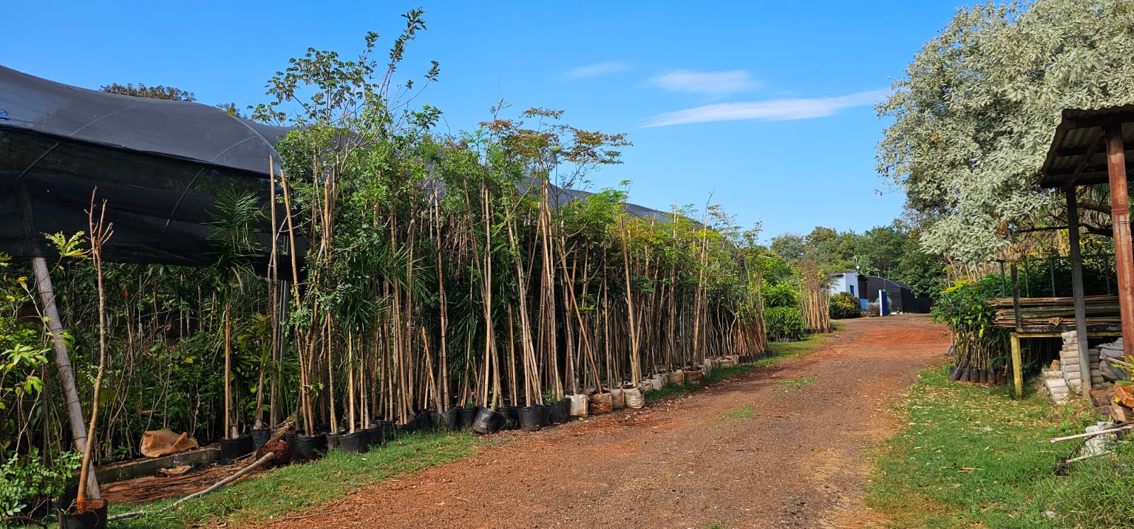Hortolândia é tetra na área ambiental